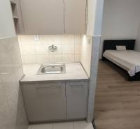 Studio apartment with a kitchenette, wood-patterned flooring, and a bed.