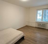 Studio apartment with a bed and wood-patterned flooring, large window with a radiator.