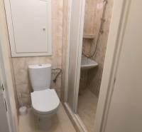A bathroom in a studio apartment with a toilet and a shower in light tiles.