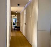 A narrow hallway in a 3-room apartment with a wood-patterned floor and white doors.
