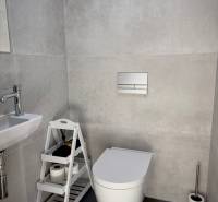 Bathroom with wall-hung toilet, sink, and storage shelf in a 3-room apartment.