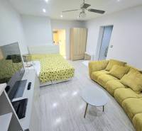 Sale One bedroom apartment, One bedroom apartment, Bánovce nad Bebravo