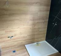 A bathroom in a family house with a wooden decor floor and dark tiles.