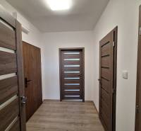 A hallway in a 2-room apartment with a wooden decor floor and wooden doors.