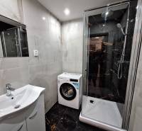 Bathroom of a 2-room apartment with a washing machine, shower, and sink with black tiles.