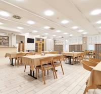 Restaurant business premises with a counter, tables, and chairs. Floor with wood decor.