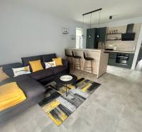 Living room of a two-room apartment with a kitchen island, carpet, and wooden decor flooring.
