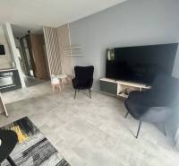 Living room in a 2-room apartment with a TV, wooden decor flooring, and black armchairs.