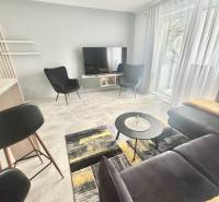 Living room in a two-room apartment with a grey sofa and black armchairs.