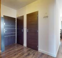 A hallway with a mirror and a floor with a wooden decor in a 4-room apartment.