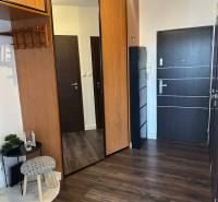 In the 4-room apartment, there is an entrance hallway with a wooden decor floor and a built-in wardrobe.