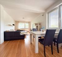 Dining room and living room in a 2-room apartment with wood-patterned flooring and large windows.