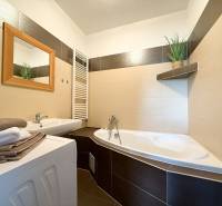 Bathroom in a 2-room apartment with a bathtub and a sink, decorative plant on shelves.