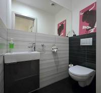 A bathroom in a 3-room apartment with dark tiles, a sink, and a toilet, complemented by a decorative painting.