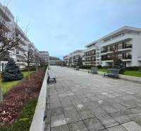 Sidewalk in the residential area on Popradská Street 64, Košice - Západ district.