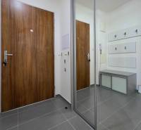 A hallway in a 3-room apartment with wooden decoration and a mirrored wardrobe.