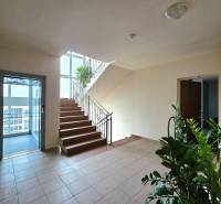 Staircase and elevator with a plant in a 3-room apartment, floor with tiles.