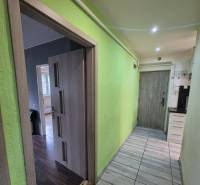 A hallway in a 3-room apartment with an entrance to a floor with a wooden decor and a green wall.