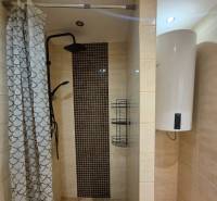 Bathroom in a 3-room apartment with an open shower, curtain, and electric boiler.