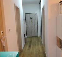 A hallway in a 2-room apartment with a wooden decor floor and wooden doors.