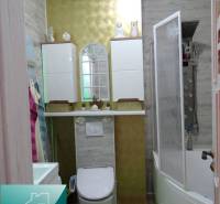 Bathroom in a 2-room apartment with a bathtub and a decorative wall, floor with wooden decor.