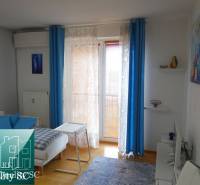 Living area of a studio apartment with blue accessories and wood-patterned flooring.