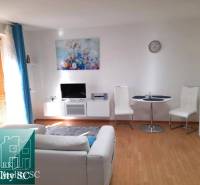 Living room with a TV, couch, and table in a studio apartment, floor with wood decor.