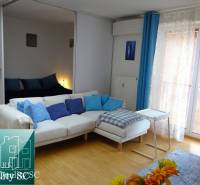 A bright living space in a studio apartment with wood-patterned flooring, blue accessories.