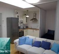 Interior of a 1-room apartment with a kitchen, sofa, and built-in sleeping area.