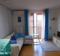 A bright living room with blue curtains and a wood-patterned floor in a studio apartment.