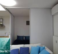 1-bedroom apartment with a kitchenette and a bed, floor with wooden decor.