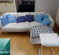 A one-bedroom apartment with a white sofa, blue cushions, and a wooden decor floor.
