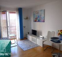 A bright living room with a TV and wood-patterned flooring in a studio apartment.