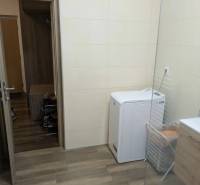 Bathroom in a 2-room apartment with a washing machine and a wooden decor floor.