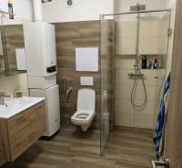 Bathroom with wood-patterned flooring, shower, and toilet in a 2-room apartment.