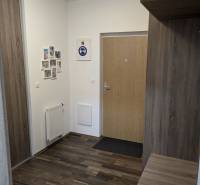 Hallway in a 2-room apartment with a wooden decor floor and wall decorations.