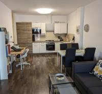 Living room with kitchen and dining area in a two-room apartment. Floor with wood decor.