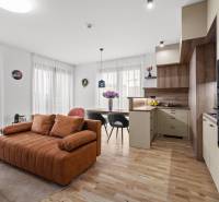 Living room with kitchen in a 3-room apartment, wooden decor flooring, comfortable sofa.