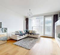 Decorative living space in a 2-room apartment with wood-patterned flooring and large windows.