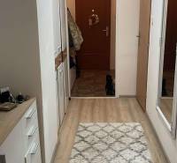 The hallway of a 2-room apartment with carpet and wood-patterned flooring, complemented by a large mirror.