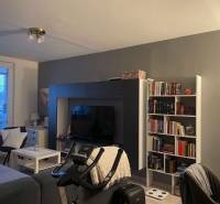 Living room of a two-room apartment with a wooden decor floor and a bookshelf.