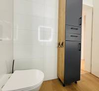 Recreational apartment with a toilet, cabinet, and wooden decor flooring.