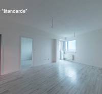 Living room with wood-patterned flooring in a standard two-room apartment.