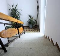 A staircase with plants and a tiled floor in a 3-room apartment.