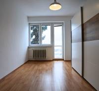 3-room apartment with wood-patterned flooring, a wardrobe, and a large window.