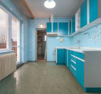 A kitchen in a family house with blue cabinets and a wood-patterned floor.