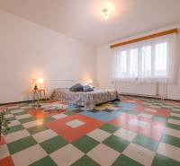 A room in a family house with a colorful floor, a bed, and a plant.