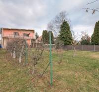 The garden of a family house on Kpt. Jaroša Street in Trenčín with fruit trees and grass.