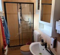 A bathroom in a family house with a wooden decor floor, a shower corner, and a sink.