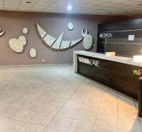 Reception desk with a dark counter and decorative walls in a 3-room apartment.
